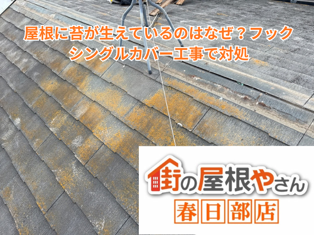 越谷市｜屋根に苔が生えているのはなぜ？フックシングルカバー工事で対処